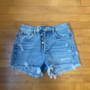 Revolve Agolde Parker jean shorts